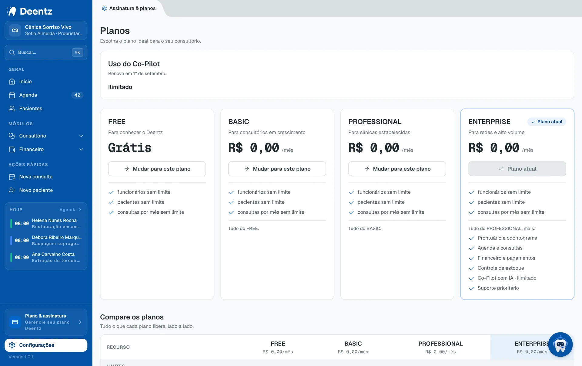 Deentz subscription plan screen showing the current plan and its limits